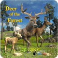 Deer of the Forest