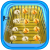 Fortune Cookie Maker - Kids Educational Game