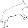 PARA-BULL-A加速器