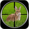US Rabbit Killer Assassin