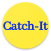 catch-it加速器