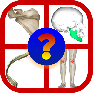 BONES Anatomy Quiz Trivia加速器