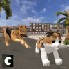 狗VS猫：城市生存加速器