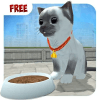Kitty Simulator 3D加速器