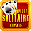 Spider Solitaire Royale加速器