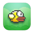Flappy Bird Pro