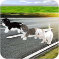 Kitten Cat Craft Racing:Cute Cat World Tournament