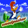 aventure woody Duck woodpecker