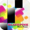 Black Pink Piano Game