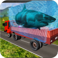 Transport Truck Shark Aquarium