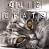 Quiz de culture générale sur les chats