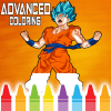 Dragon Super DBS Advanced Coloring Book