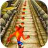 Temple Crash Jungle Run Bandicot