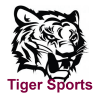 Tiger Sports Prediction加速器