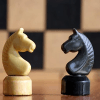 Chess Pro