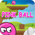 Pink Ball 2018