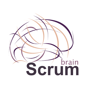 Scrum Brain加速器