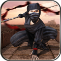 Ninja Warrior Survival Fight