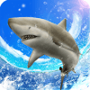 Wild Shark Fishing