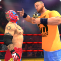 Wrestling Cage Match : Wrestling Mania Revolution加速器