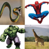 Scratch & Guess the Super Heroes, Movies, Animals