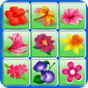 Onet Games: Connect Flowers Season 2017