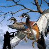 Siberian Birds Hunting