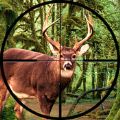 鹿狩猎狙击手射击2018加速器