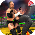 World Wrestling Revolution - Free Wrestling Games