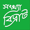 সংখ্যা বিভ্রাট