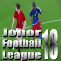 Liga Bolasepak Johor