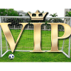 2+ vip Docker odds