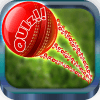 Cricket Quiz Fantasy加速器