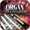 Best Organ Spectacular 2018加速器