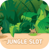 Jungle Slot加速器