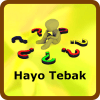 Hayo Tebak加速器