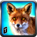 Wild Fox Adventures 2016加速器