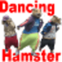 Dancing Hamster加速器