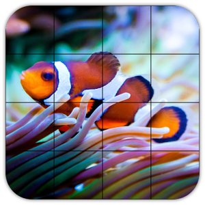 Tile Puzzles · Corals加速器