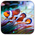 Tile Puzzles · Corals