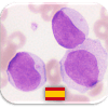 Quiz de Hematología加速器