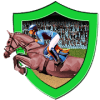 3D Horse Racing