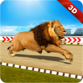 Wild Lion Crazy Racing Fever: Wild Animals Racing