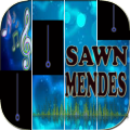 Sawn Mendes Piano加速器