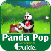 Guide for Panda Pop加速器