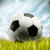 3D American Car Soccer Season加速器