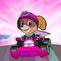 Paw Puppy Mask Racing Patrol