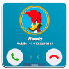 Call From Woody Woodpecker加速器