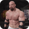 Wrestling WWE Fight加速器
