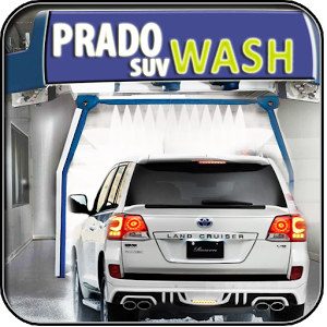 Prado wash Simulator加速器